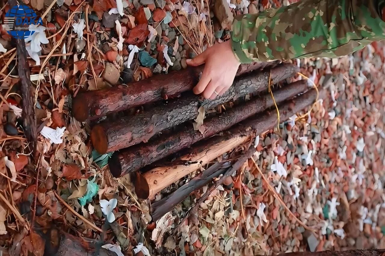 Unsuitable wood for fumigation