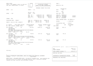 Australian dutygst invoice issued by AU customs