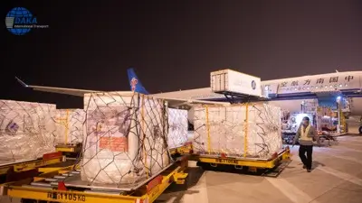 Air Cargo entry