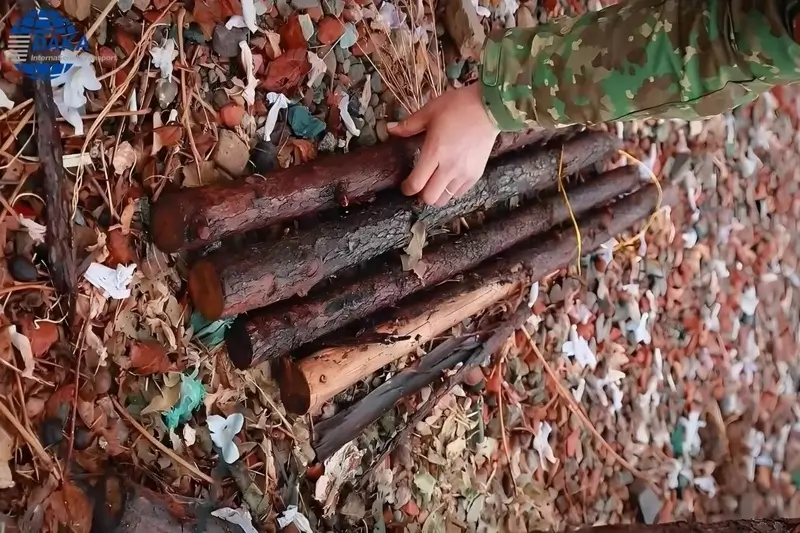 Unsuitable wood for fumigation